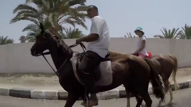 10 лучших экскурсий Шарм Эль Шейха! смотреть онлайн