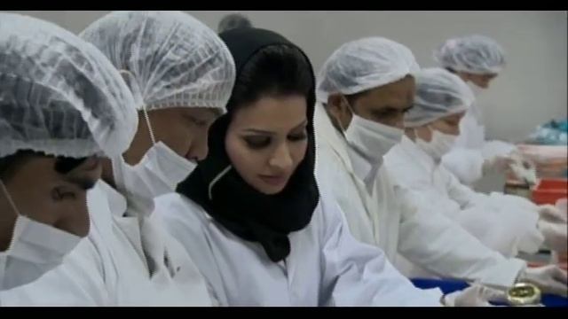 Hamdah Harizi The Innovative Pearl of Dubai смотреть онлайн