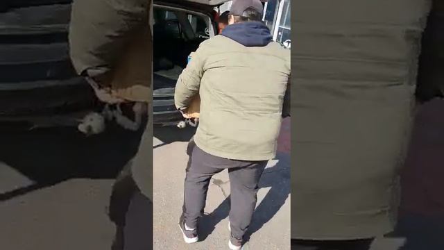 Забрал из магазина новенький Лодочный мотор GLADIATOR G9.8FHS смотреть онлайн