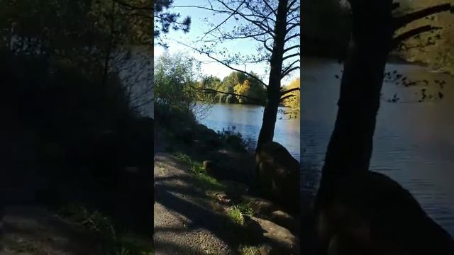 Лучший парк. Дендрологический парк. Гончарка. Парк, Адыгея, Отдых в Адыгее, часть 1 смотреть онлайн