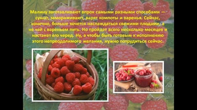 День Малинового варенья смотреть онлайн