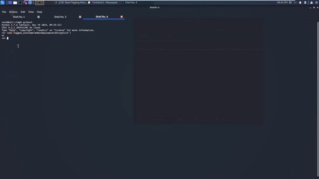 AES CBC Bit Flipping Attack смотреть онлайн