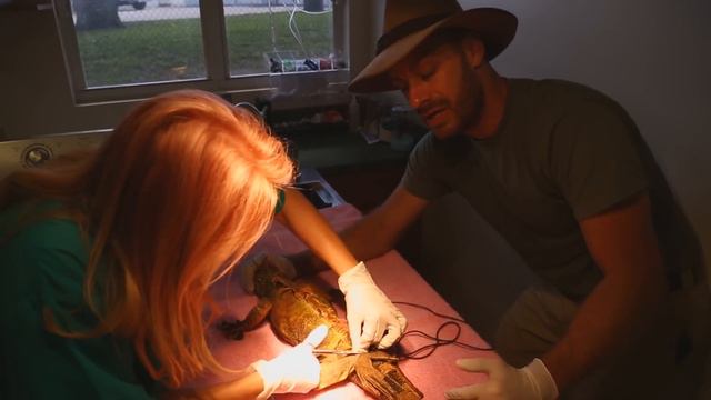 Tortured Green Iguana Rescue : Kamp Kenan S3 Episode 36 смотреть онлайн
