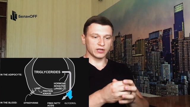 СЕЛУЯНОВ. КАК УБРАТЬ ЖИВОТ и бока быстро? Локальное жиросжигание смотреть онлайн