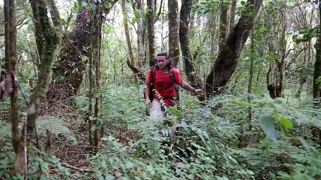 Tanzania journey. смотреть онлайн