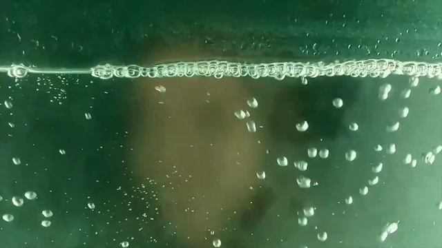 ФРИКИ ПРОХОДЯТ КВЕСТ | СТРОГО СЪЕЛ ДЕДА | by_OWL СТРЕЛЯЕТ С РУЖЬЯ | ЛУЧШЕЕ С ФРИКАМИ #2 смотреть онлайн