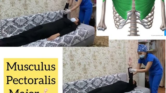 Ашворт шкаласымен тонды бағалау. Оценивание тона по шкале Ашворта. смотреть онлайн