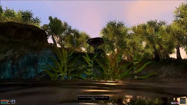 Morrowind Graphic Overhaul 3.0 Demo Vid смотреть онлайн