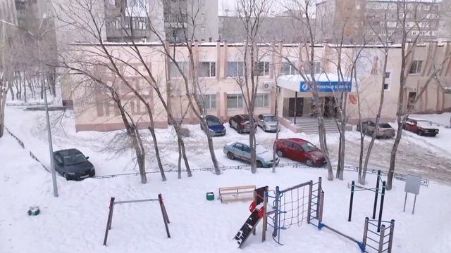 Ветеринарная клиника " на Олимпийской " , которую не могут найти уже 20 лет. ( тюмень) смотреть онлайн