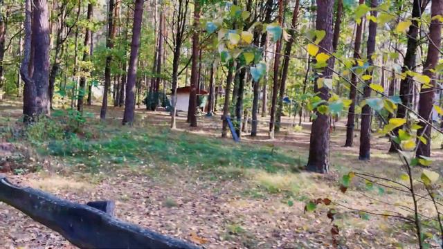 🔥Отдых в санатории "Василек" под Гомелем (часть 2):досуг?!🔥#chas#belarus#блогер#gomel#live#life смотреть онлайн