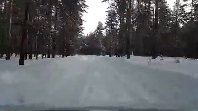 Река Быстрица. Дорога в Соснино. смотреть онлайн