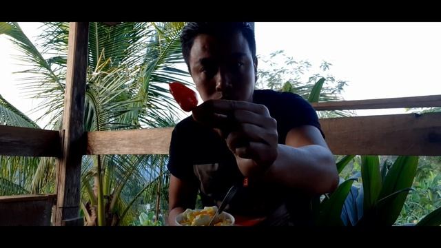 SPIDER ||○Feeding Insects ,Harvesting ,Mukbang ||Nephila Pilipes Spider||Village Life||Northeast. смотреть онлайн