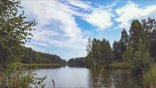 Ловля дикого карпа. Разведываем новый водоем. В погоне за диким трофеем #24. смотреть онлайн