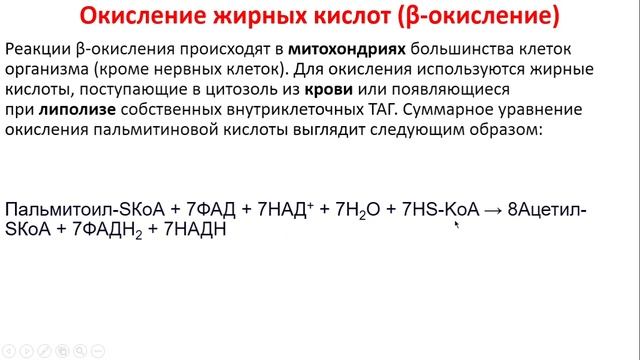 Биохимия. Лекция 57. Липиды. Обмен триацилглицеролов и фосфолипидов. Окисление жирных кислот смотреть онлайн
