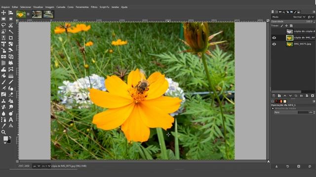 Como Não Exagerar na Edição de Fotografias No Gimp 2.10.18 смотреть онлайн