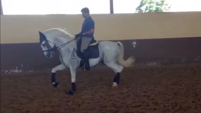 Stallion Vulcano PSL смотреть онлайн