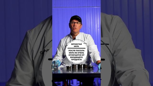 Особенности зернистой икры / Настоящая астраханская черная икра #shorts смотреть онлайн