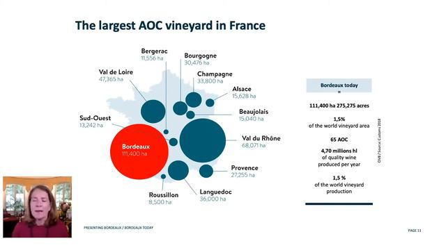 An Introduction to Bordeaux wines for Tauck Cruises смотреть онлайн