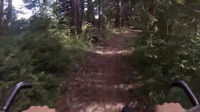 Шишки сосновые , Шишки еловые смотреть онлайн