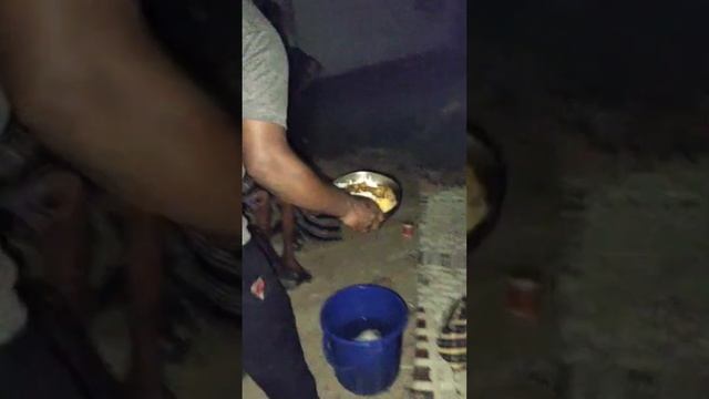 ✊✊Help To Poor Peoples✊✊ Don't Waste The Food # Please Donate Food #please Like Share And Subscribe