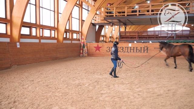 Работа с лошадью на корде Способы крепления корды Приспособления для работы на корде смотреть онлайн