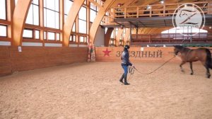 Работа с лошадью на корде   Способы крепления корды   Приспособления для работы на корде