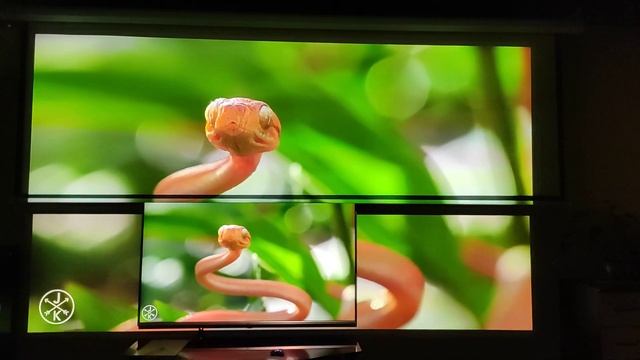 Xgimi H3 наверху на экране , внизу lg 55 диагональ 4К. смотреть онлайн