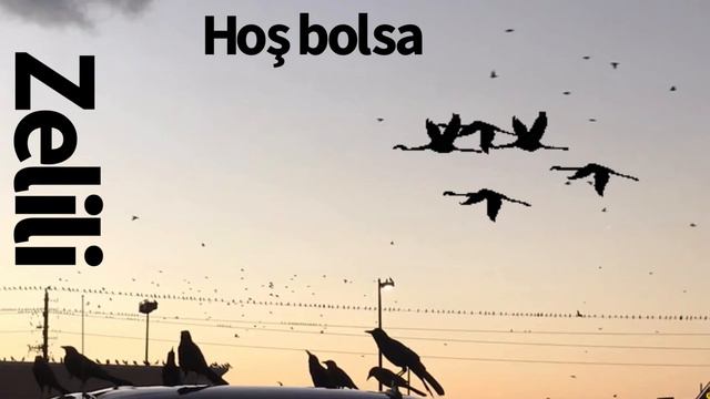 Zelili - Hoş bolsa смотреть онлайн