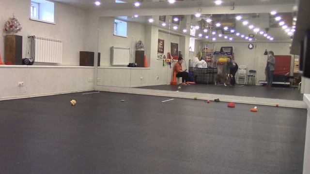 Лазарева Ольга Бальтазар "Собиратель вирусов" Ветераны" Ковидные игры" смотреть онлайн