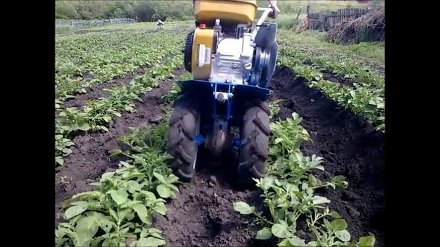 Окучивание картошки мотоблоком Нева мб23 с одиночным окучником смотреть онлайн