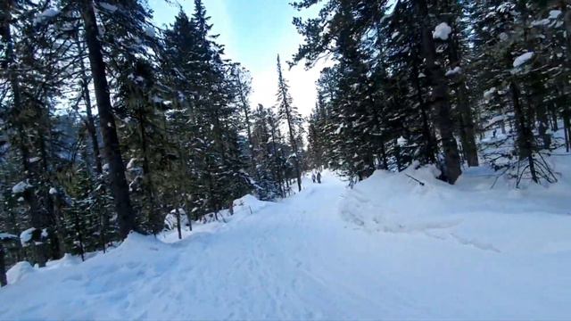 МАМАЙ. 2 марта 2024 г. БАЙКАЛ смотреть онлайн