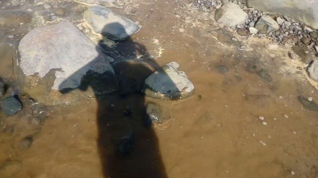 обзор на ПРИЛИВ в Онеге смотреть онлайн