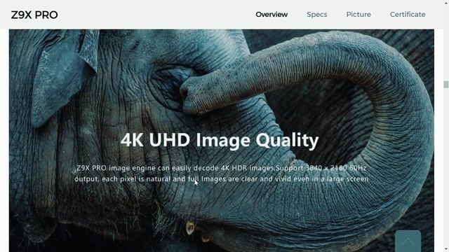 R.I.P ZAPPITI... What's The Alternative..? Zidoo.. NVidia Shield.. Dune HD..? #hometheater