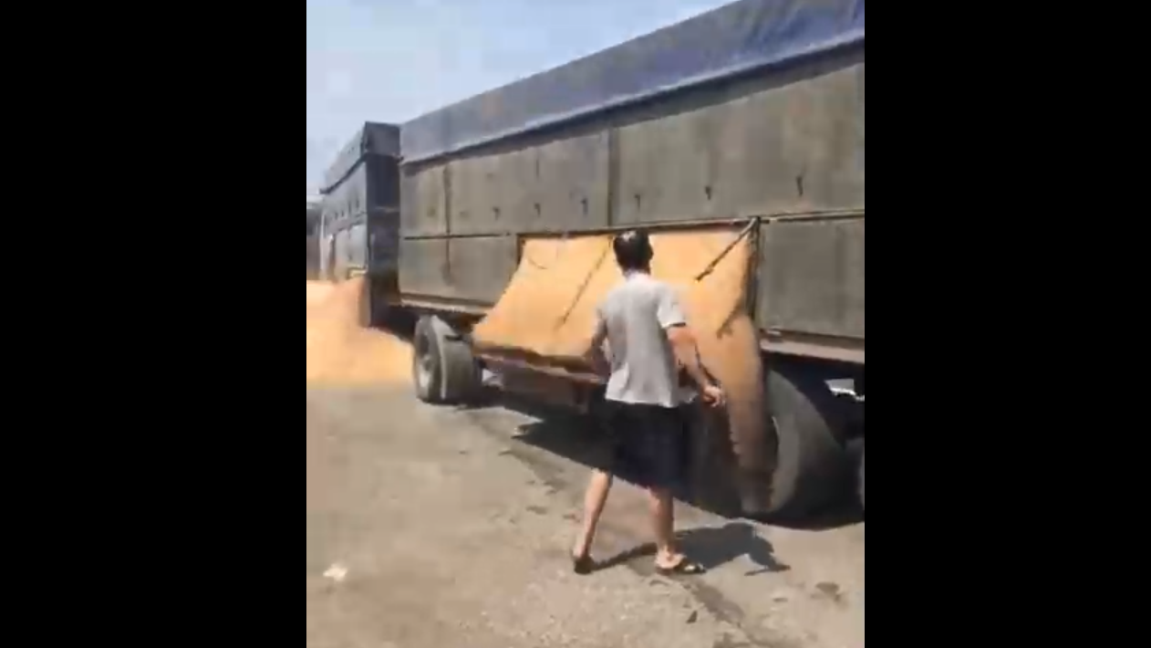 Недовольный водитель разгрузил зерно прямо на трассе назло полицейским смотреть онлайн