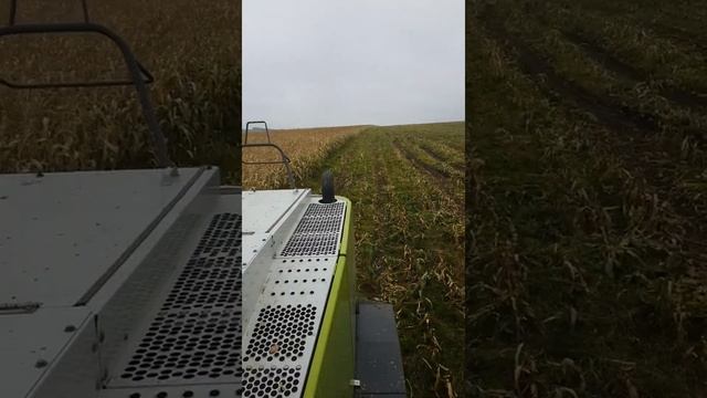 Спасибо, папа, за любовь к машинам. Стих. смотреть онлайн