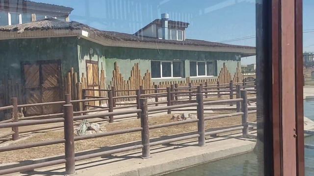 зоопарк шымкент смотреть онлайн