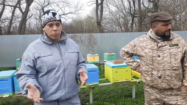 Племенной Материал от Лучшего Матковода Кубани!!!