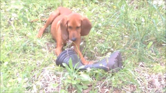 УСПОКАЕВАЕМ НЕРВЫ :-)))))!! НЕМНОГО ПОЗИТИВА смотреть онлайн