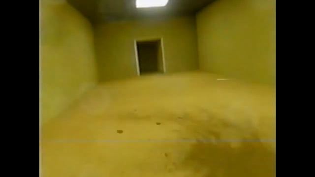 Сущность Бактерия | Закулисье | Backrooms