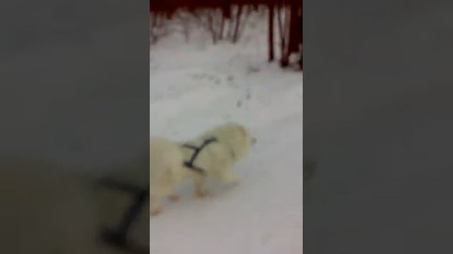 вот так покатались))))) смотреть онлайн