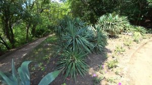 Обзор Ателика Карасан, Крым, Алушта, Партенит. ЧАСТЬ 1