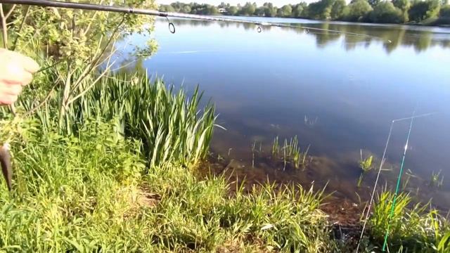 Бурцевский пруд 04.06.2022 смотреть онлайн