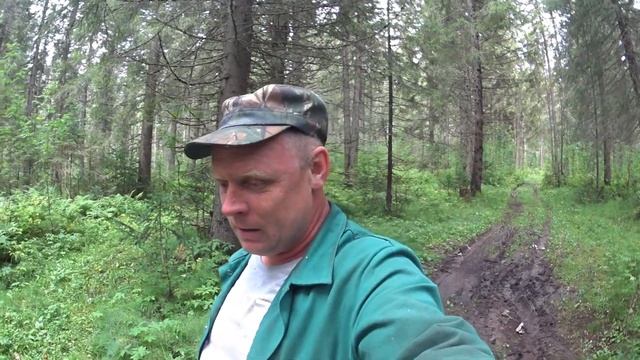 ЗА ДРОВАМИ В ЛЕС//Я НА НЕРВАХ//АВАРИЯ//ПРИВЕЗЛИ МУРАВЕЙНИК//деревенские будни смотреть онлайн