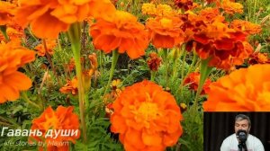 Лиду не несли ноги домой где ее ждала брошенная сыном невестка. Однако у судьбы был еще один сюрпри