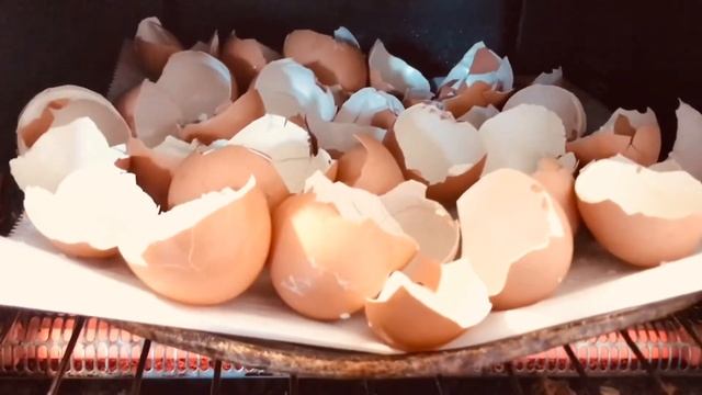 How To Make Eggshell Powder | Calcium | DIY смотреть онлайн