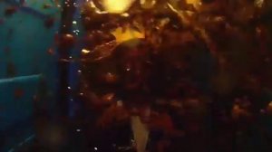 Чудаки 3 полет в био туалете