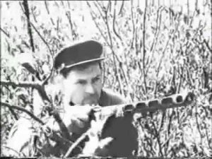 Шумел сурово Брянский лес