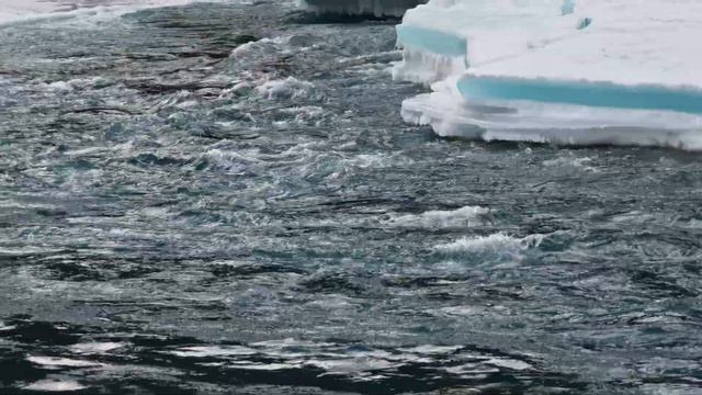 Катунь январь 2024 смотреть онлайн