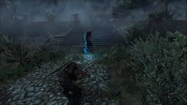 THE CARETAKER (The Witcher 3 Hearts of Stone) Flawless boss fight смотреть онлайн