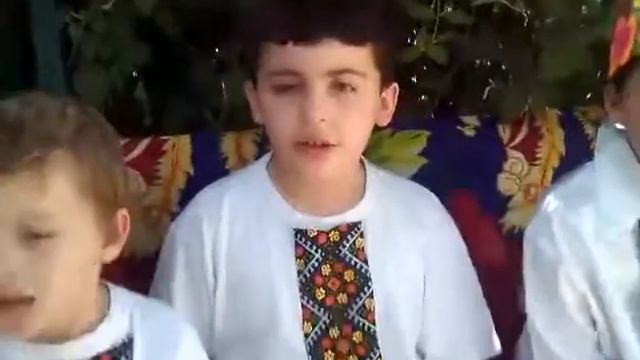 Исполнение гимн Украины. Поют внуки, а дирижер- бабушка. смотреть онлайн